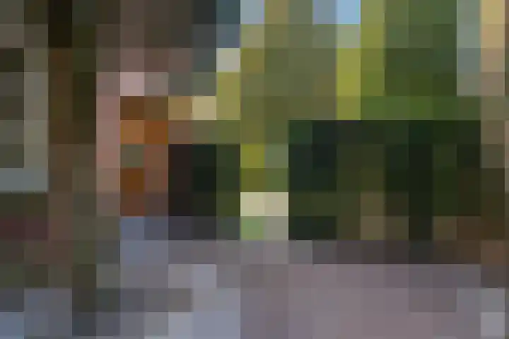 Groot Hoefijzerlaan 3 Wassenaar thumbnail 8