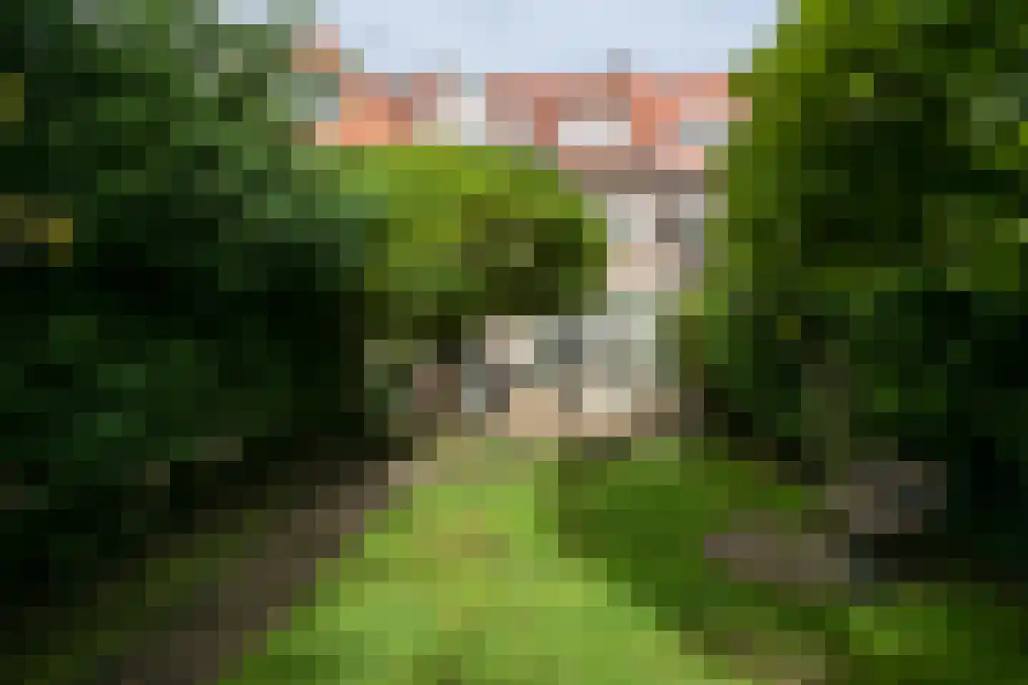 Groot Hoefijzerlaan 48 Wassenaar thumbnail 16