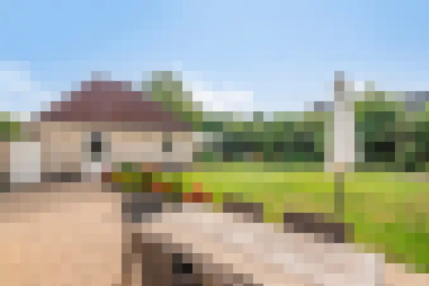 Groot Hoogsteen 14 Breda thumbnail 27