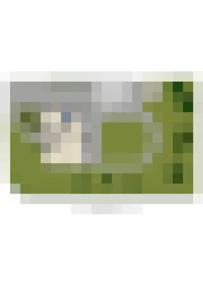 Groot Hoogsteen 14 Breda thumbnail 42