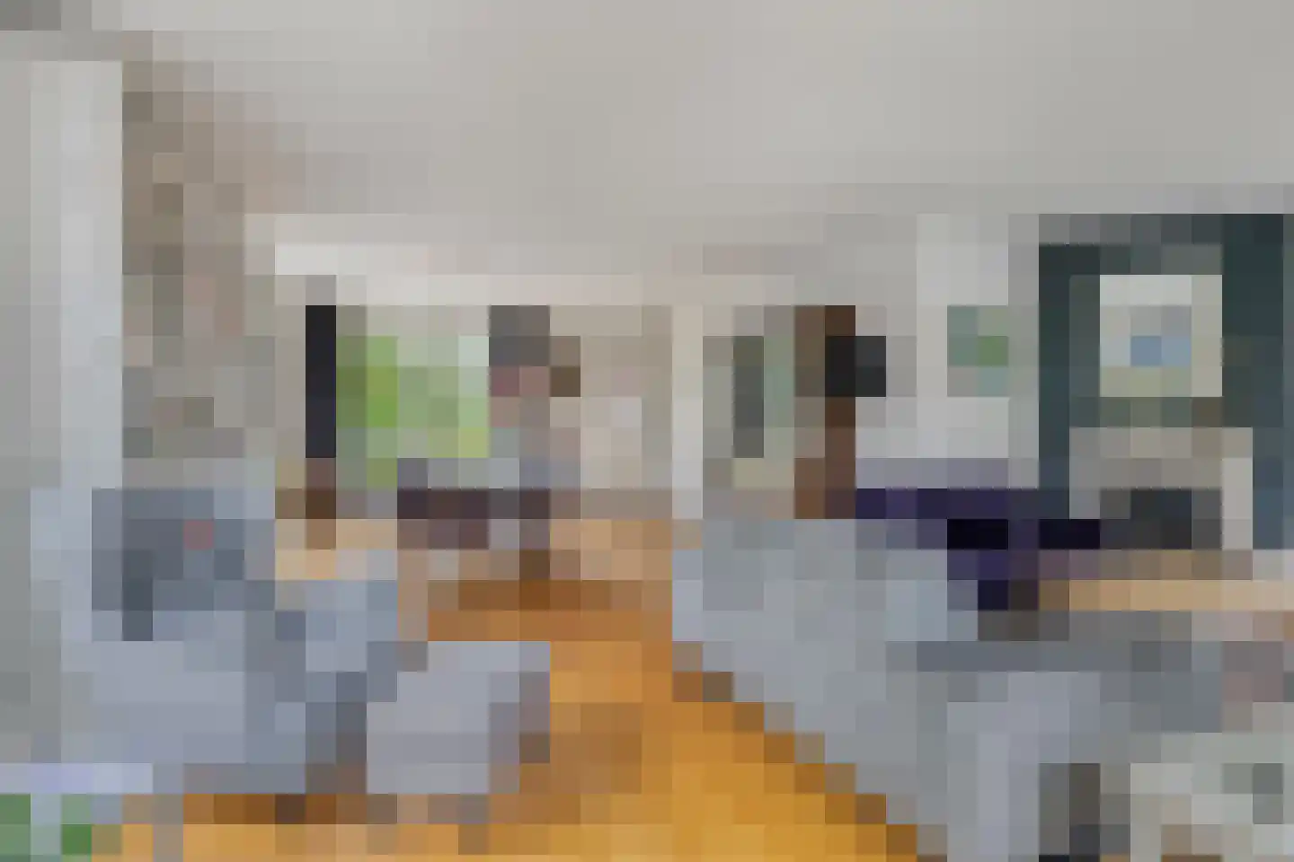 Groot Hoogsteen 9 Breda thumbnail 13