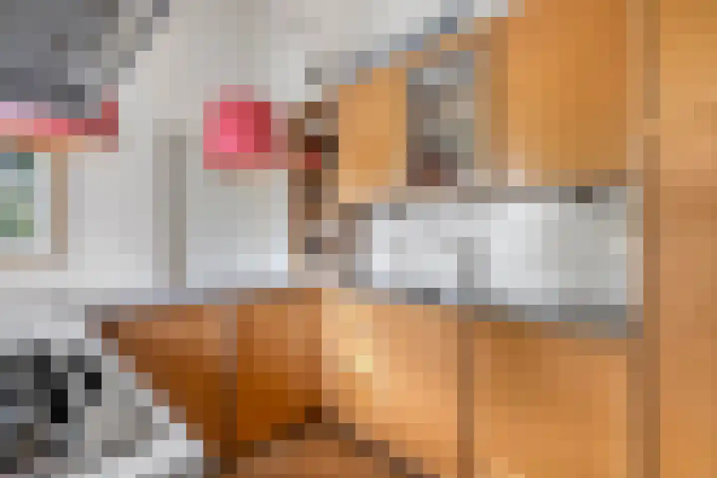 Groot Hoogsteen 9 Breda thumbnail 16