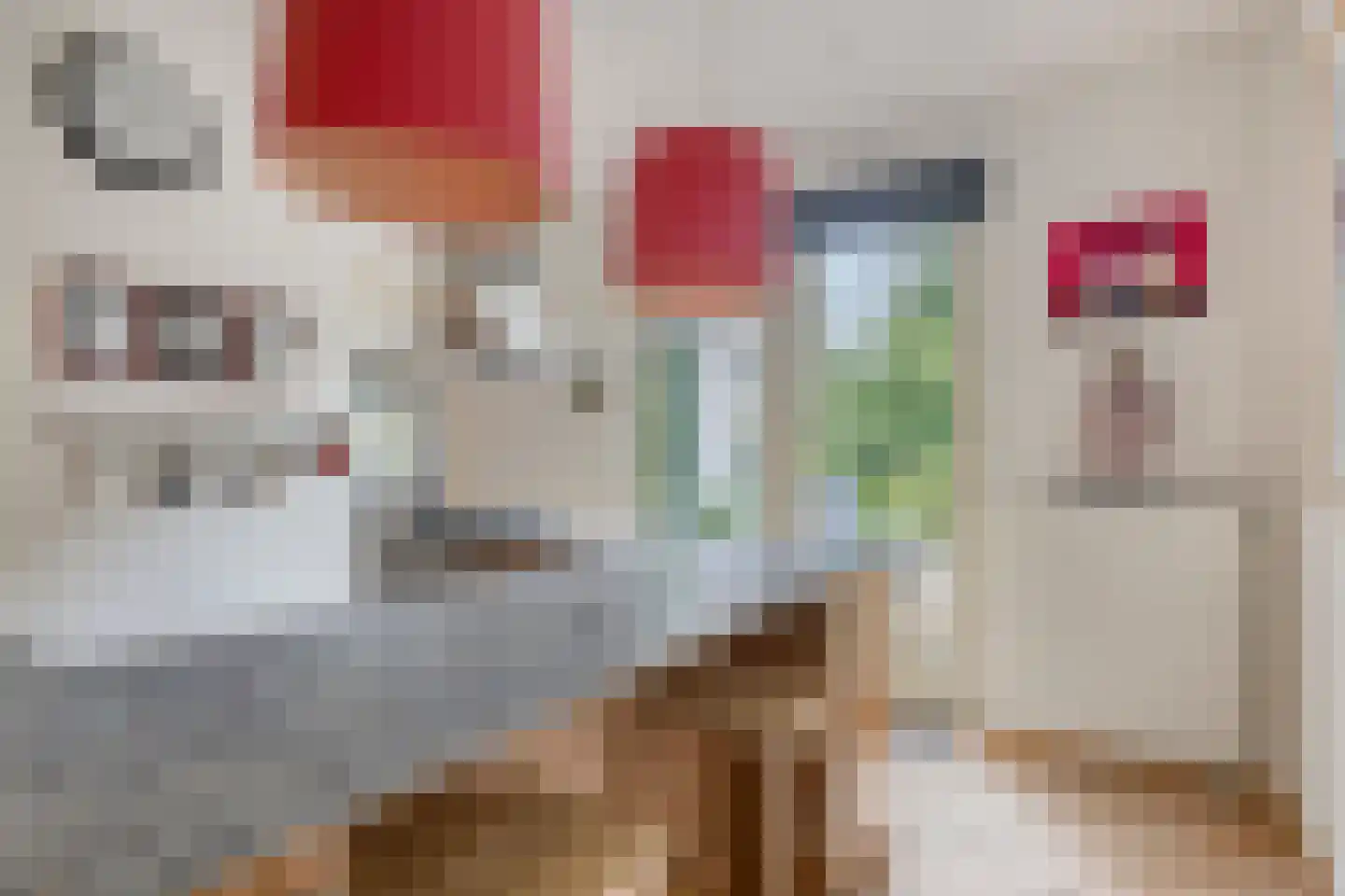 Groot Hoogsteen 9 Breda thumbnail 17