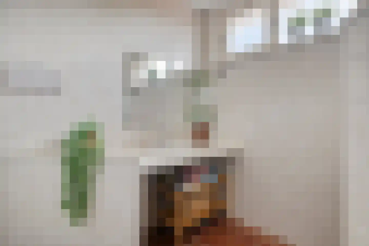 Groot Hoogsteen 9 Breda thumbnail 31