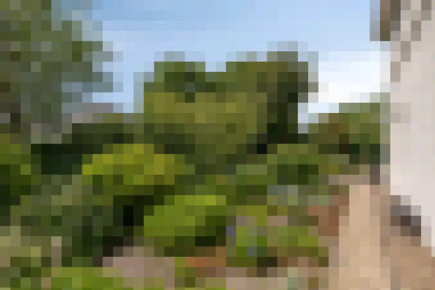 Groot Hoogsteen 9 Breda thumbnail 40
