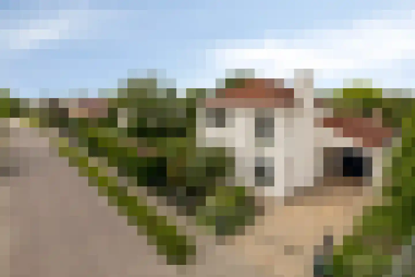 Groot Hoogsteen 9 Breda thumbnail 45