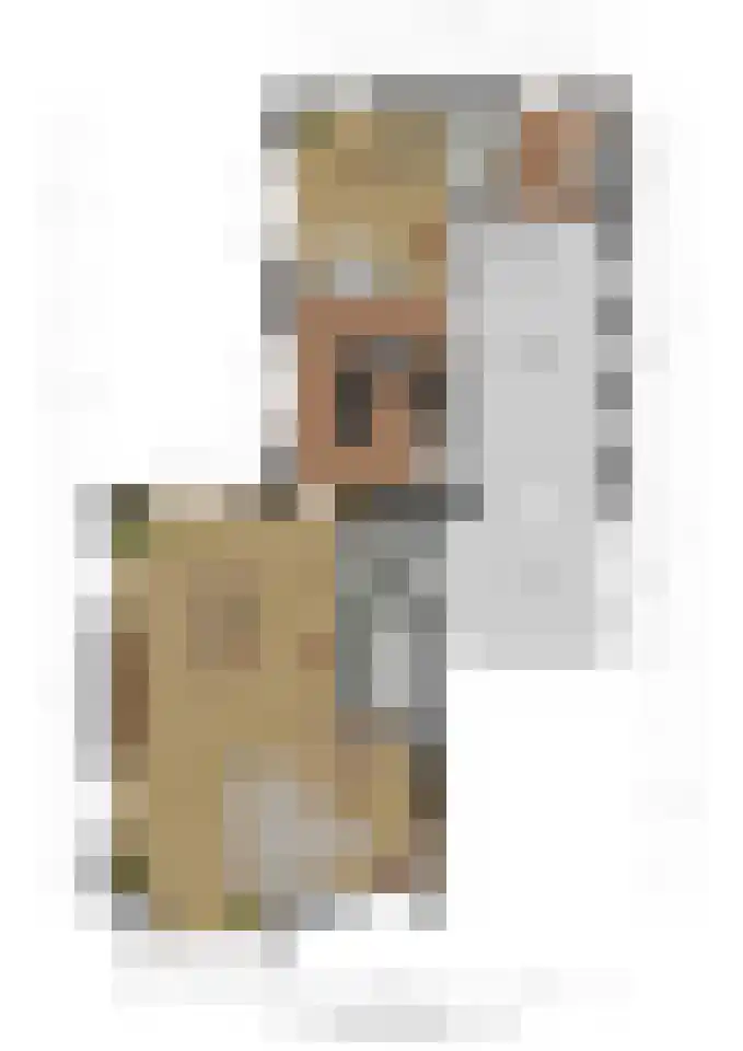 Groot Hoogsteen 9 Breda thumbnail 46