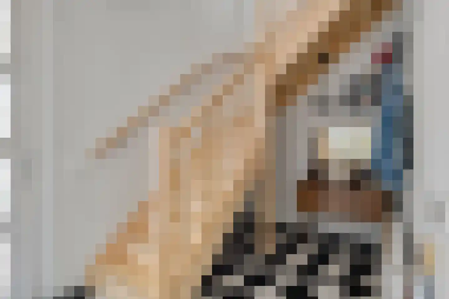Groot Hoogsteen 9 Breda thumbnail 6