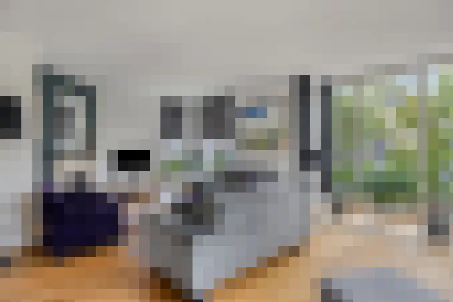 Groot Hoogsteen 9 Breda thumbnail 9