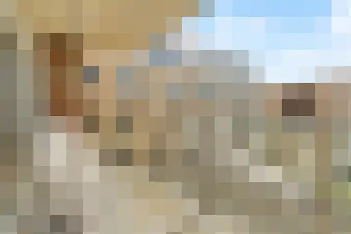 Groot Hoogwaak 101 Noordwijk thumbnail 14