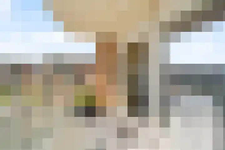 Groot Hoogwaak 101 Noordwijk thumbnail 15