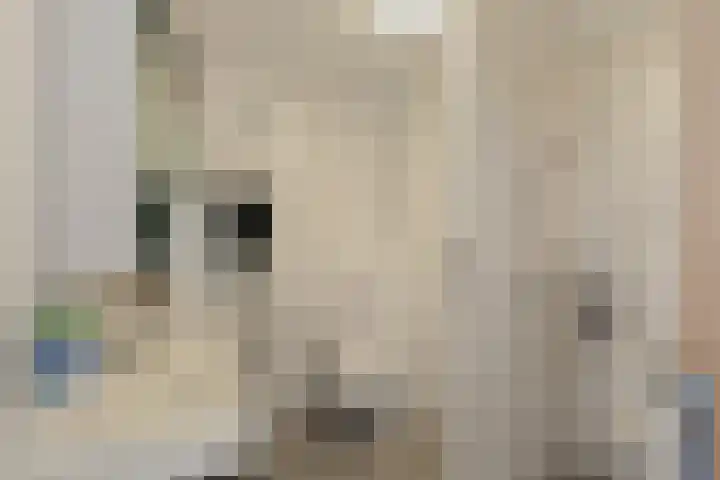 Groot Hoogwaak 101 Noordwijk thumbnail 20