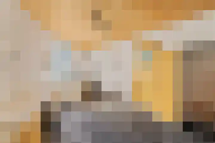 Groot Hoogwaak 101 Noordwijk thumbnail 23