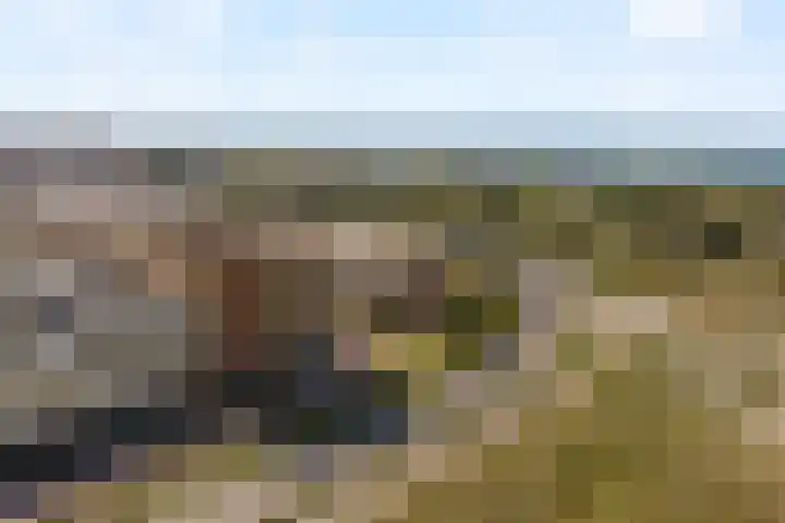Groot Hoogwaak 101 Noordwijk thumbnail 26