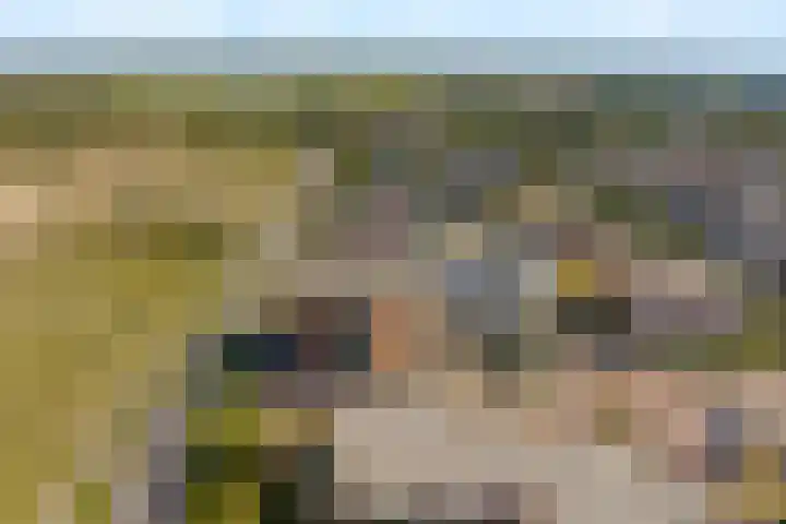 Groot Hoogwaak 101 Noordwijk thumbnail 27