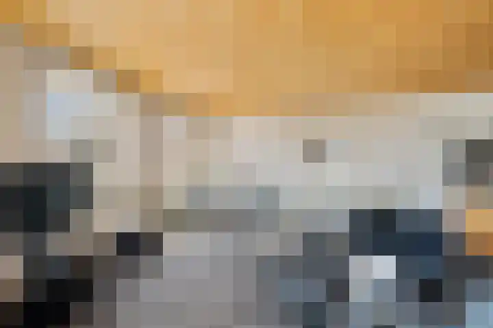 Groot Hoogwaak 101 Noordwijk thumbnail 8