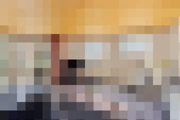 Groot Hoogwaak 101 Noordwijk thumbnail 9