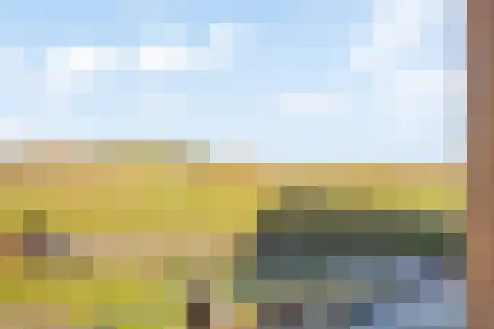 Groot Hoogwaak 102 Noordwijk thumbnail 12