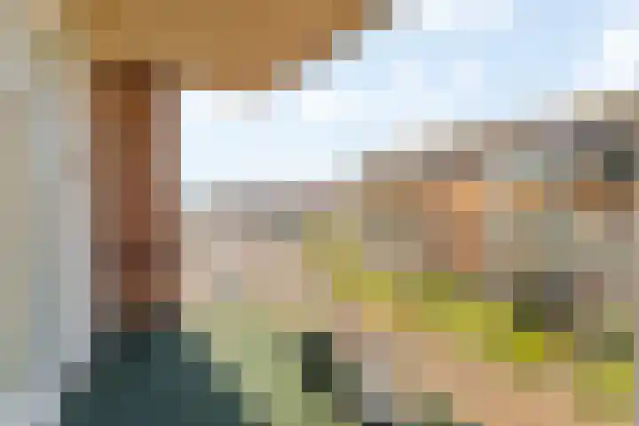 Groot Hoogwaak 102 Noordwijk thumbnail 13