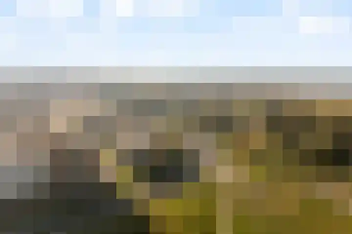 Groot Hoogwaak 102 Noordwijk thumbnail 28