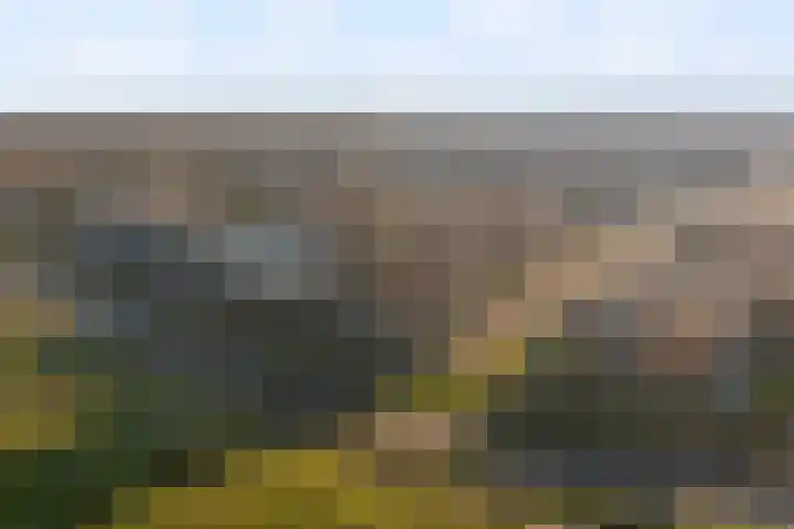 Groot Hoogwaak 102 Noordwijk thumbnail 29