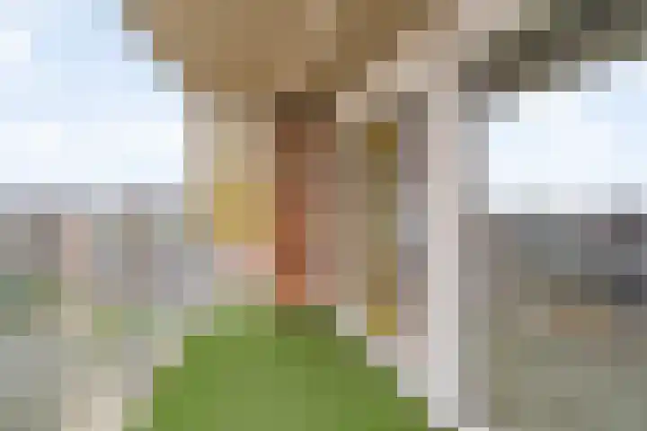 Groot Hoogwaak 104 Noordwijk thumbnail 10