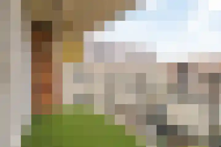 Groot Hoogwaak 104 Noordwijk thumbnail 8
