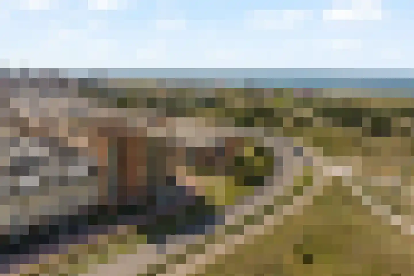 Groot Hoogwaak 107 Noordwijk