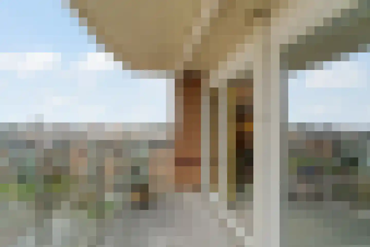 Groot Hoogwaak 107 Noordwijk thumbnail 11