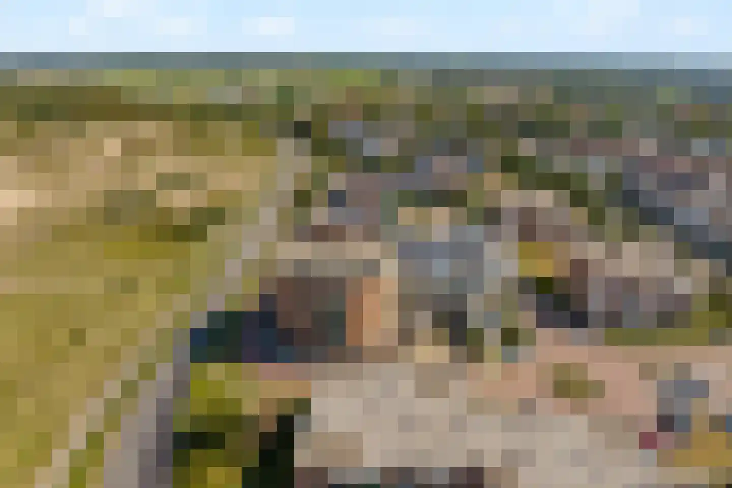 Groot Hoogwaak 107 Noordwijk thumbnail 30