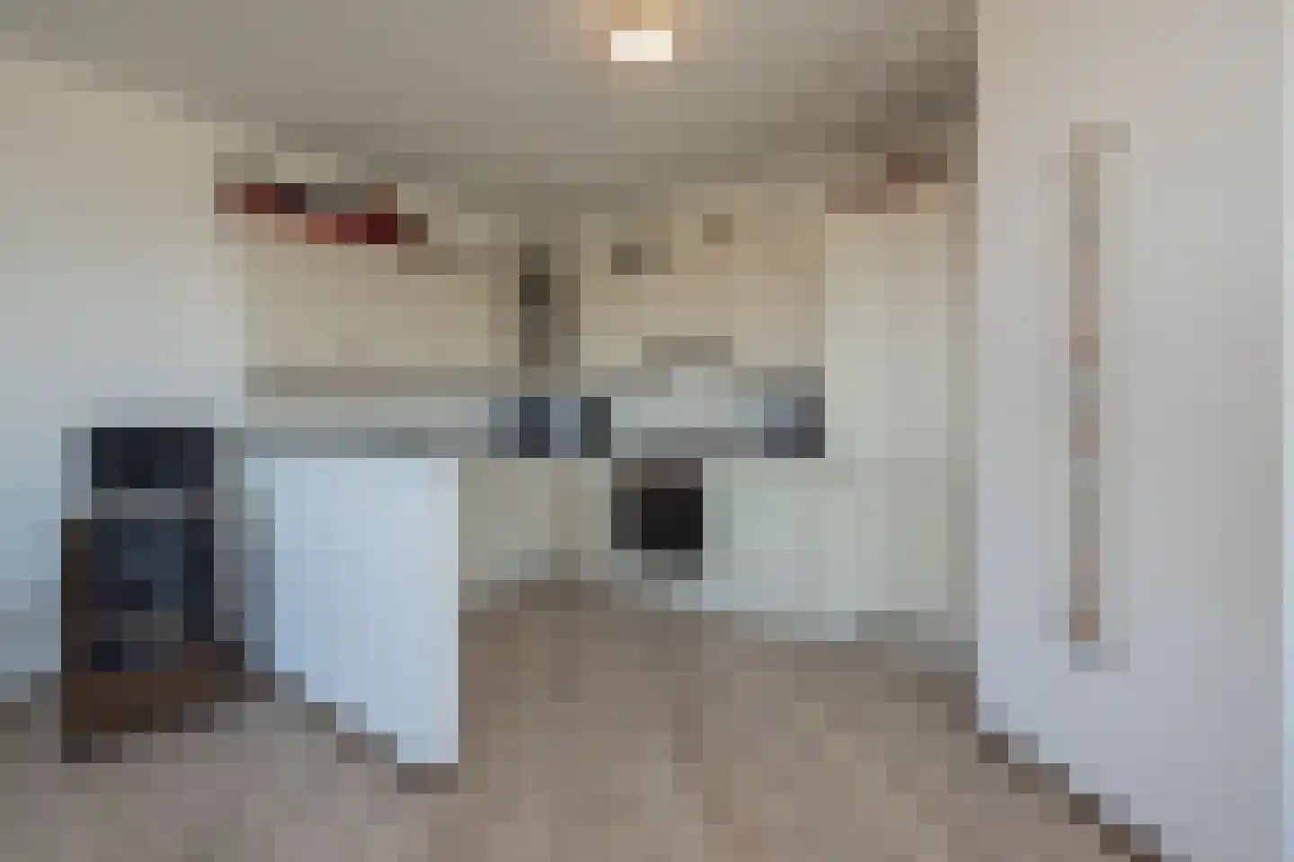 Groot Hoogwaak 111 Noordwijk thumbnail 7