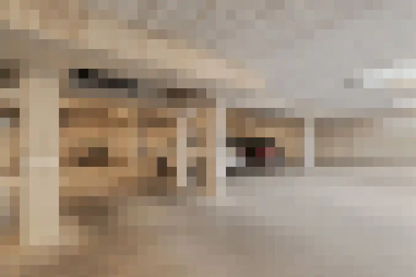 Groot Hoogwaak 209 Noordwijk thumbnail 23
