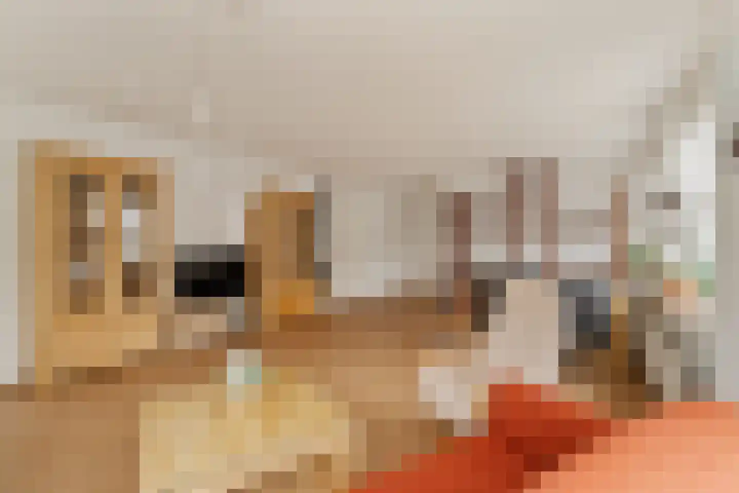 Groot Hoogwaak 209 Noordwijk thumbnail 7