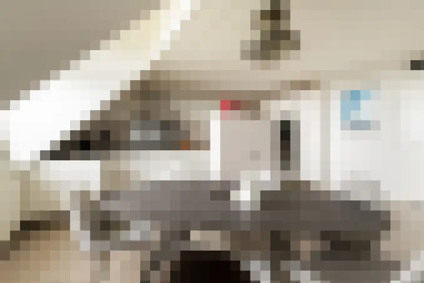 Groot Horloo 10 Ermelo thumbnail 20