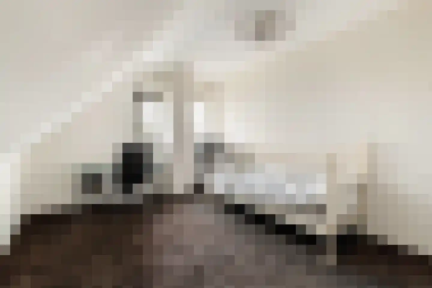 Groot Horloo 10 Ermelo thumbnail 45