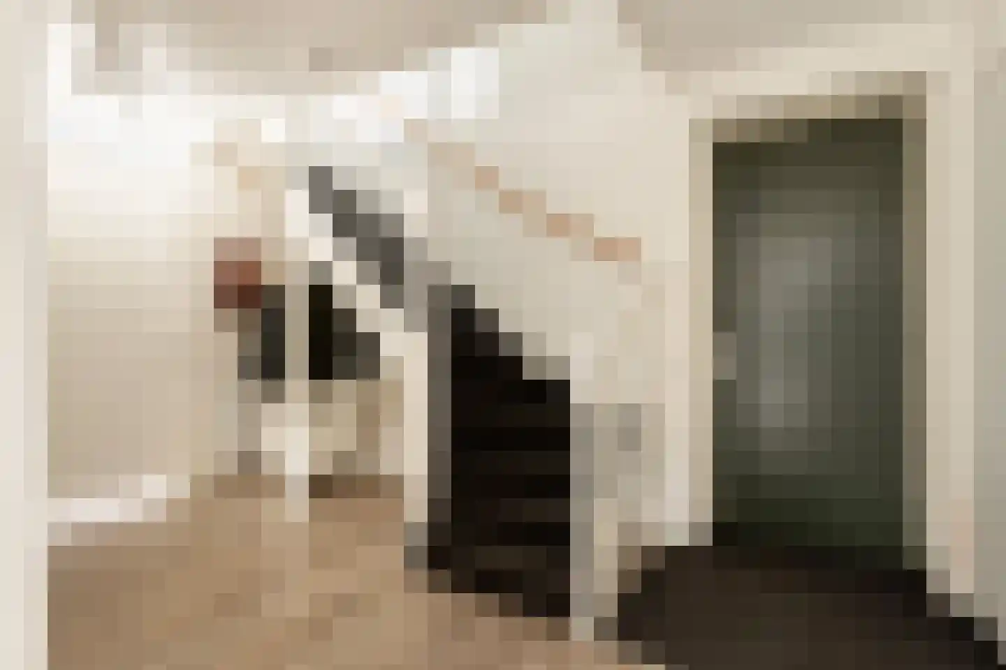 Groot Horloo 10 Ermelo thumbnail 8