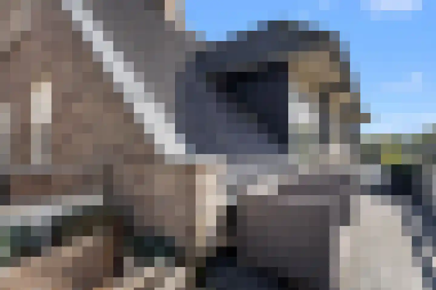 Groot Horloo 103 Ermelo thumbnail 5