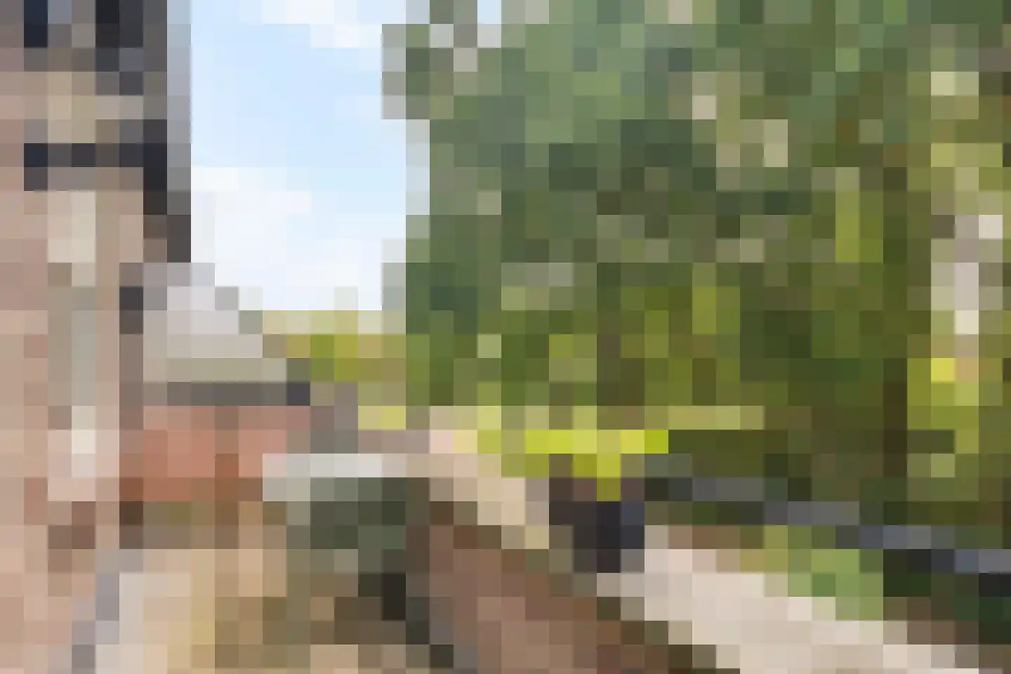 Groot Horloo 27 Ermelo thumbnail 13