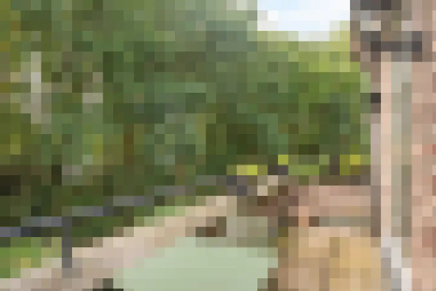 Groot Horloo 27 Ermelo thumbnail 14
