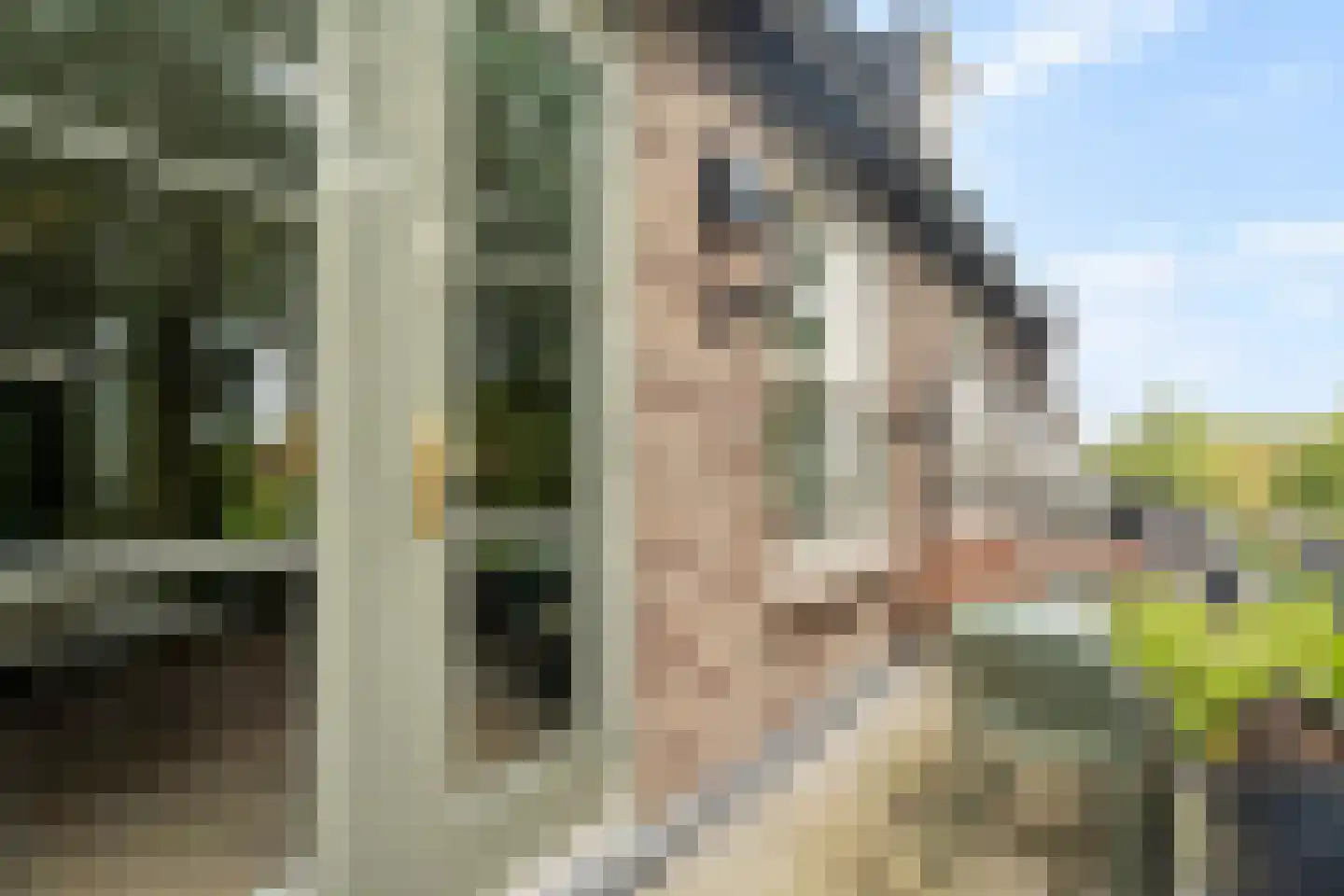 Groot Horloo 27 Ermelo thumbnail 15
