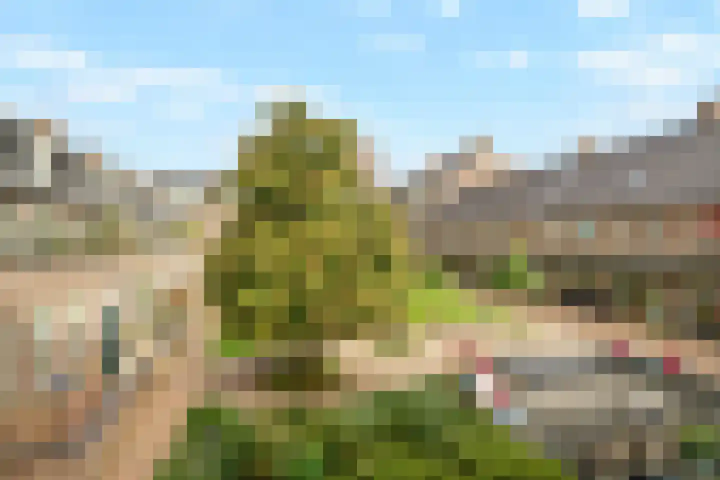 Groot Horloo 27 Ermelo thumbnail 42