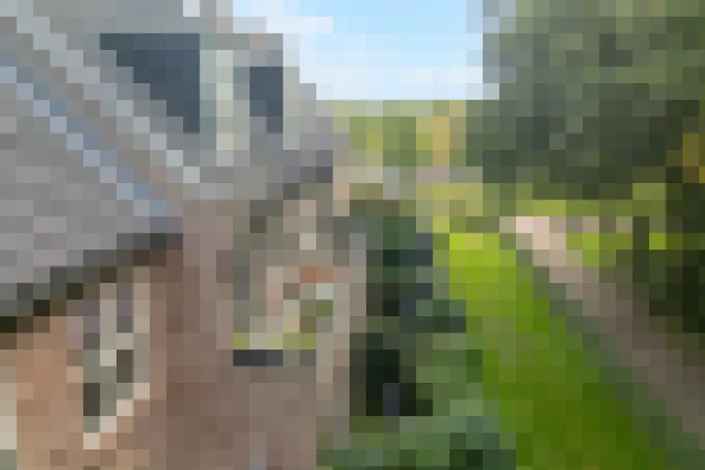 Groot Horloo 27 Ermelo thumbnail 43