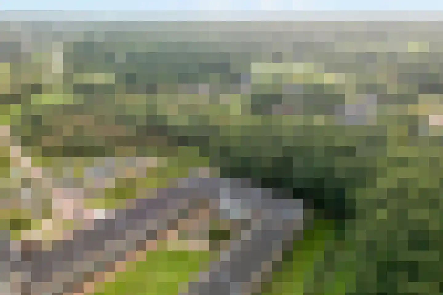 Groot Horloo 27 Ermelo thumbnail 44