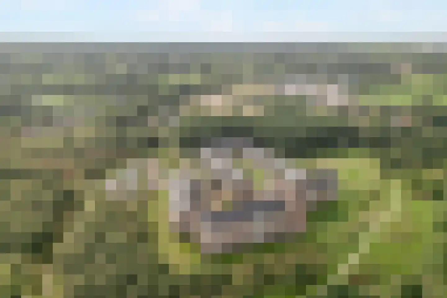 Groot Horloo 27 Ermelo thumbnail 7