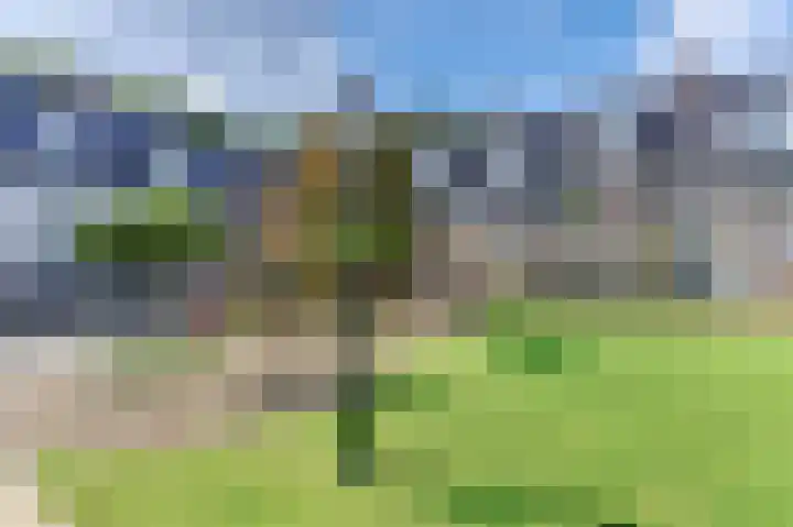 Groot Horloo 40 Ermelo