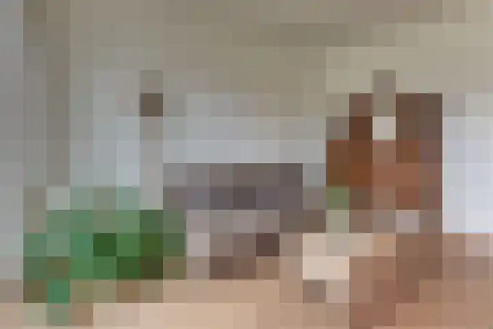 Groot Horloo 40 Ermelo thumbnail 17