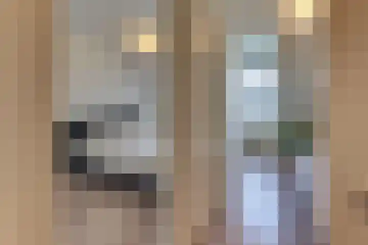 Groot Horloo 40 Ermelo thumbnail 21