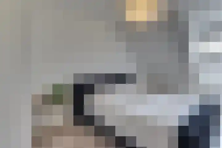 Groot Horloo 40 Ermelo thumbnail 22