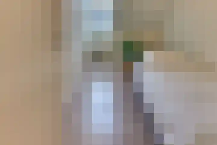 Groot Horloo 40 Ermelo thumbnail 24