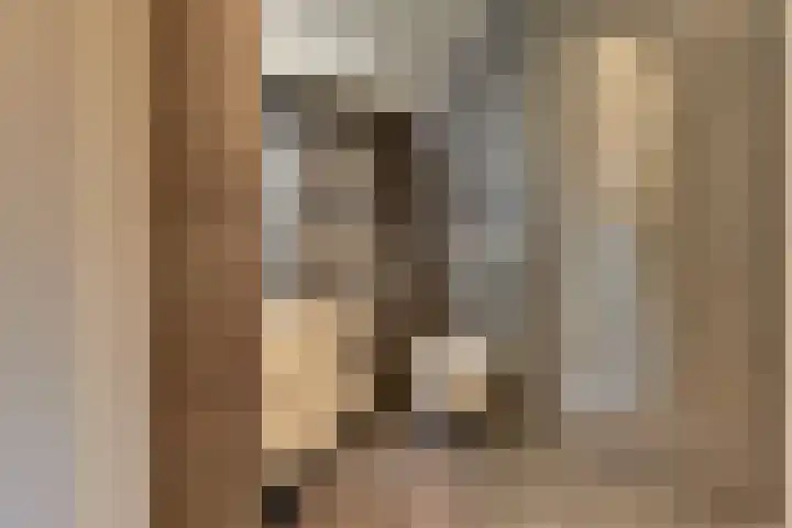 Groot Horloo 40 Ermelo thumbnail 25
